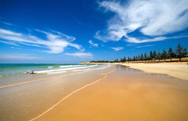 Golden Palms Motel Geelong Bagian luar foto